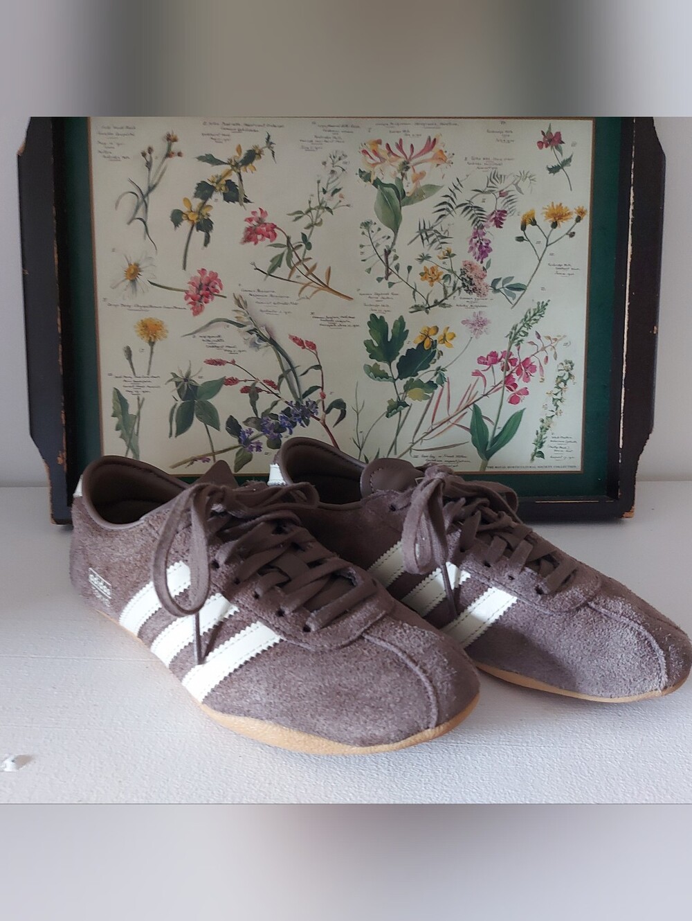Adidas shoes Tokyo